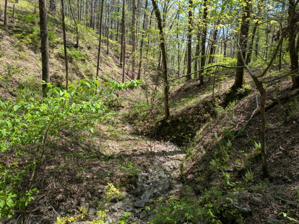 pxl_20250412_191008355.jpg