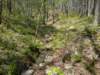 pxl_20250412_191029231_small.jpg