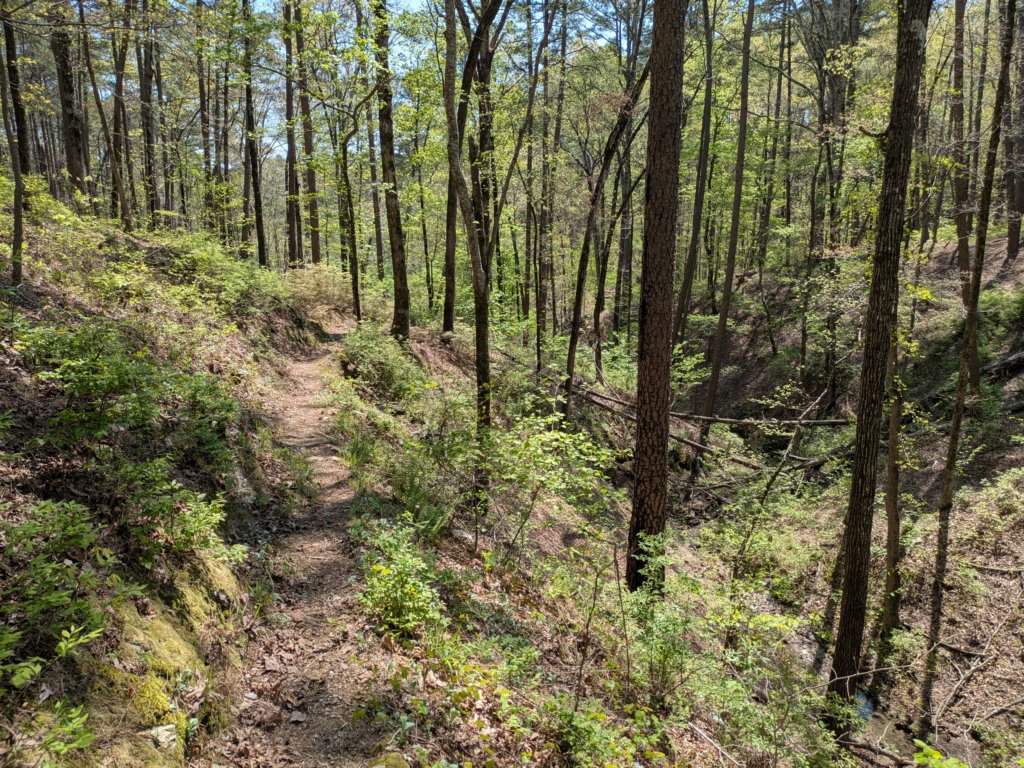 pxl_20250412_191136563.jpg