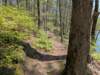 pxl_20250412_191301807mp_small.jpg