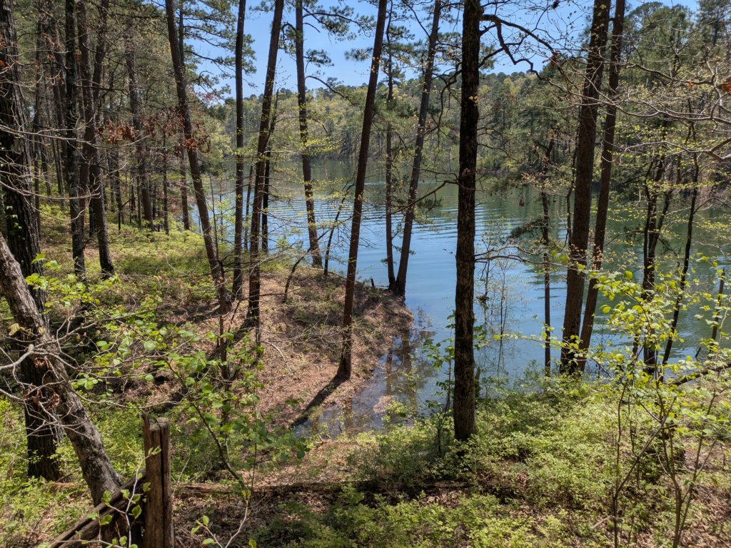 pxl_20250412_191438794.jpg