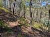 pxl_20250412_191756381_small.jpg