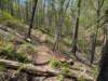 pxl_20250412_192036847_small.jpg