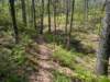 pxl_20250412_192136209_small.jpg