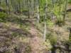 pxl_20250412_192211885mp_small.jpg