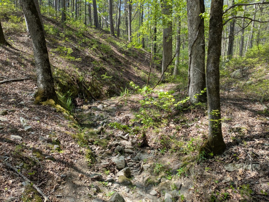 pxl_20250412_192244986.jpg