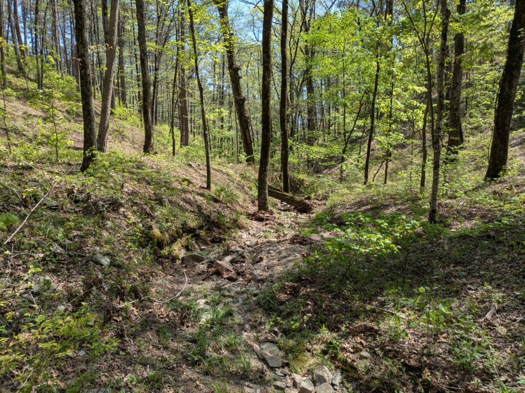 pxl_20250412_192256341.jpg