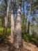 pxl_20250412_192748293_small.jpg