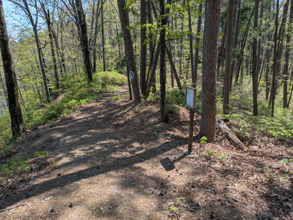 pxl_20250412_193001106.jpg
