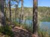 pxl_20250412_193716463_small.jpg