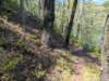 pxl_20250412_194020330_small.jpg