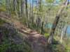 pxl_20250412_194029326_small.jpg