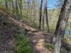 pxl_20250412_194046672_small.jpg