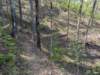 pxl_20250412_194107796_small.jpg