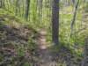 pxl_20250412_194217447_small.jpg