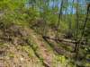 pxl_20250412_194328334_small.jpg