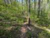 pxl_20250412_194536423_small.jpg