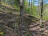 pxl_20250412_194642238_small.jpg