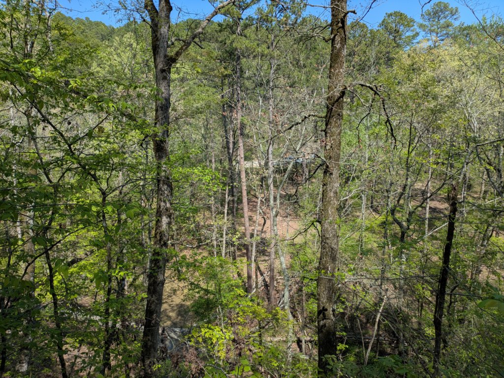 pxl_20250412_194717335.jpg