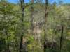 pxl_20250412_194717335_small.jpg