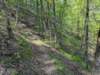 pxl_20250412_194720086_small.jpg
