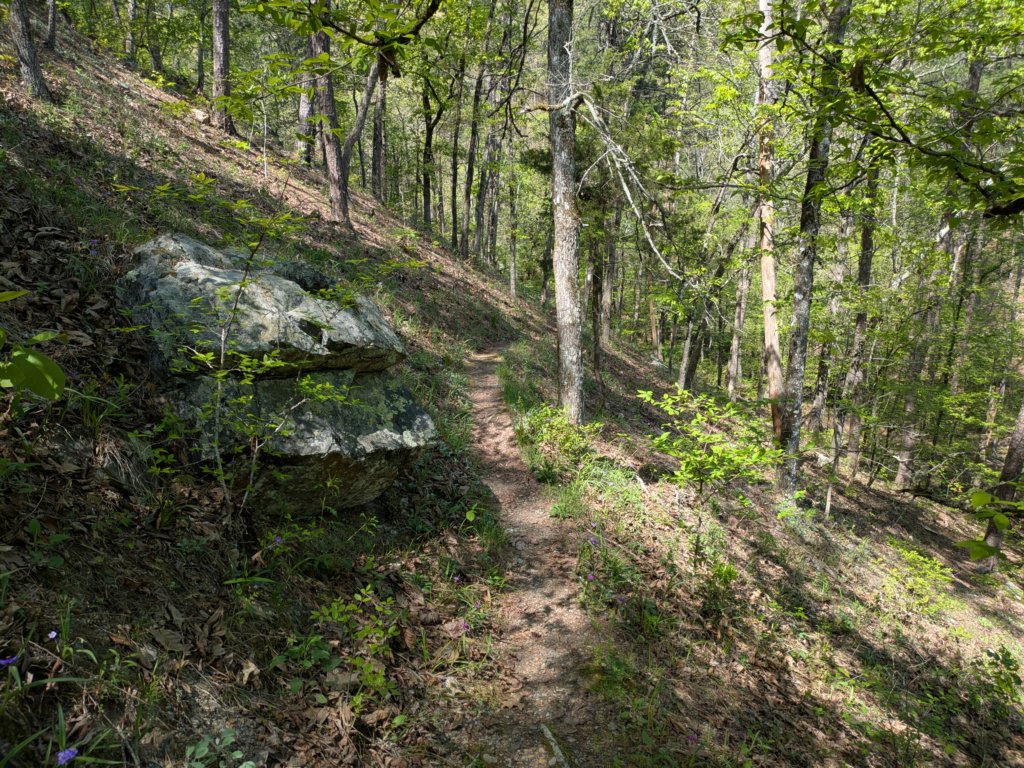 pxl_20250412_194758317.jpg