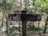 pxl_20250412_194923018_small.jpg