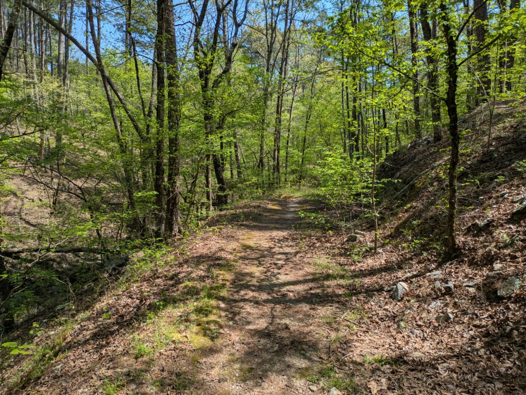 pxl_20250412_194926655.jpg