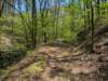 pxl_20250412_194926655_small.jpg