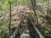 pxl_20250412_195000170_small.jpg