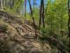 pxl_20250412_195010210_small.jpg