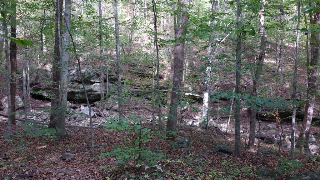 img_20171019_153135464.jpg