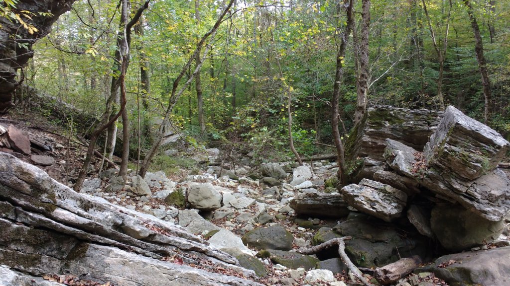 img_20171019_154200953.jpg