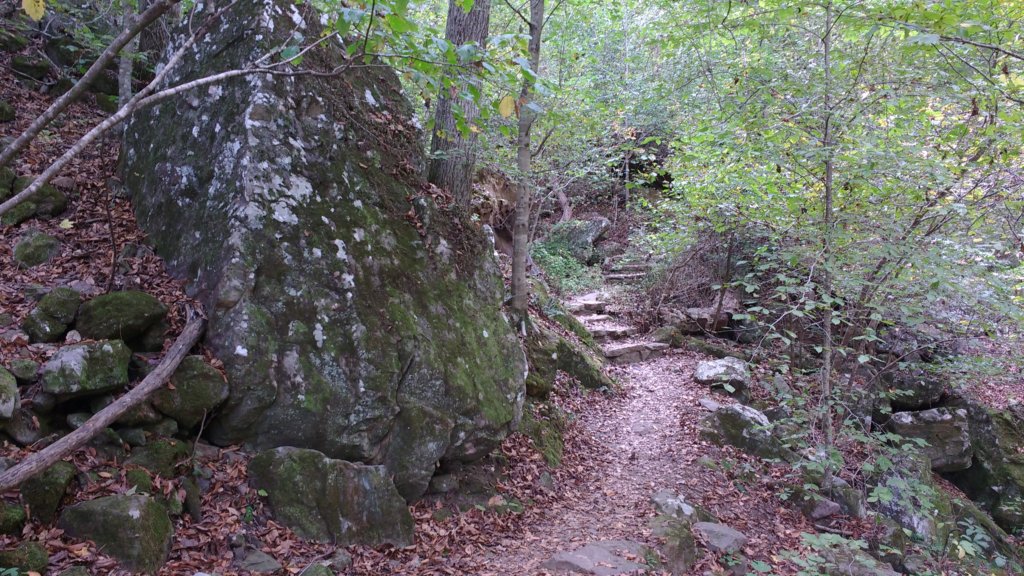 img_20171019_154926065.jpg