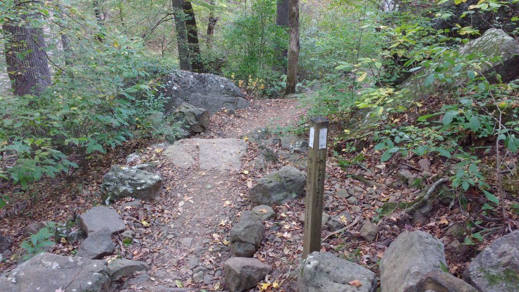 img_20171019_161950417.jpg