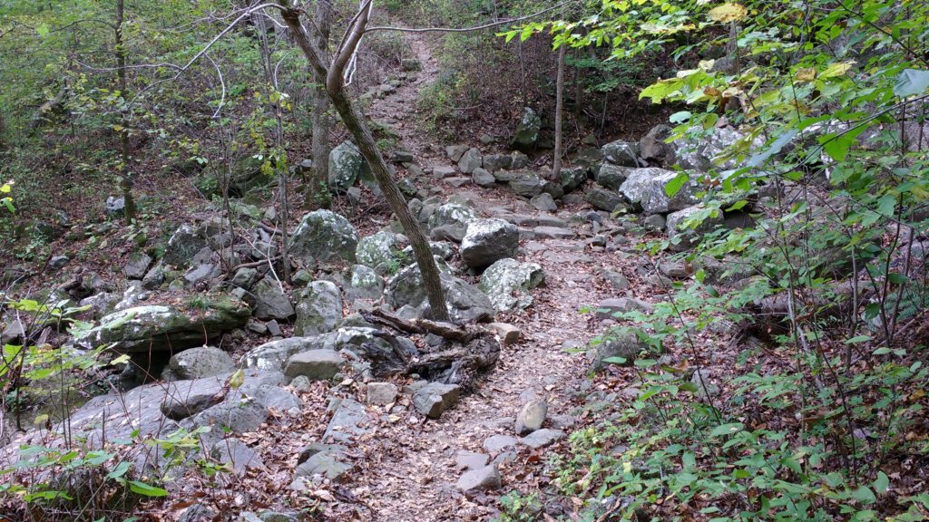 img_20171019_162547296.jpg