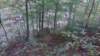img_20171019_162703005_small.jpg