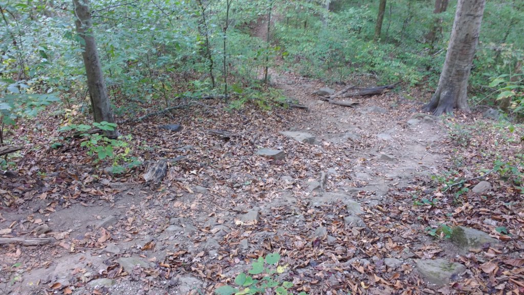 img_20171019_163132798.jpg