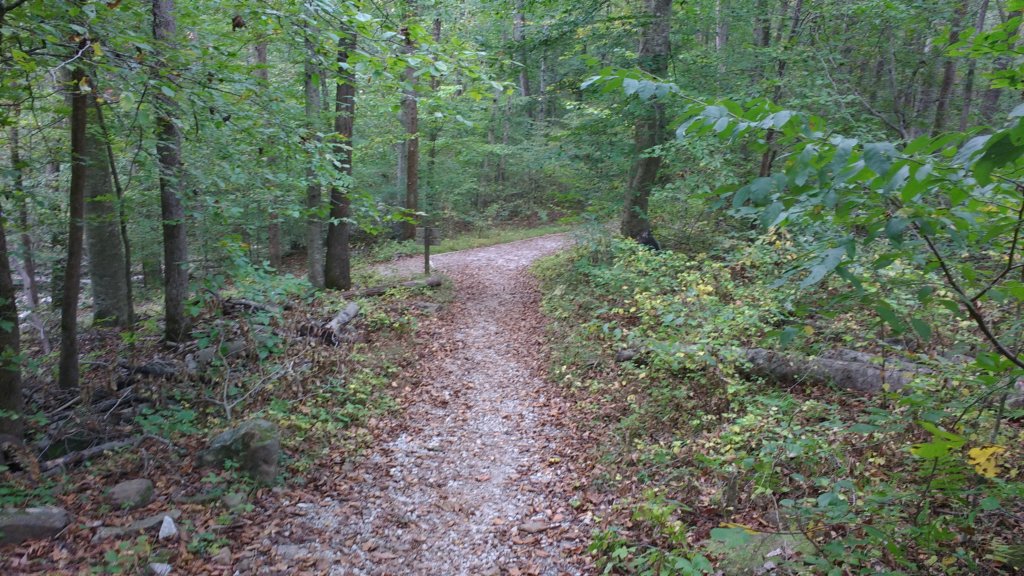 img_20171019_163237341.jpg