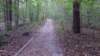 img_20171019_163749127_small.jpg