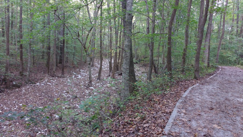img_20171019_164117743.jpg