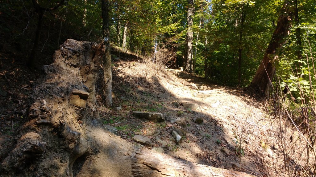 img_20170916_102305226.jpg