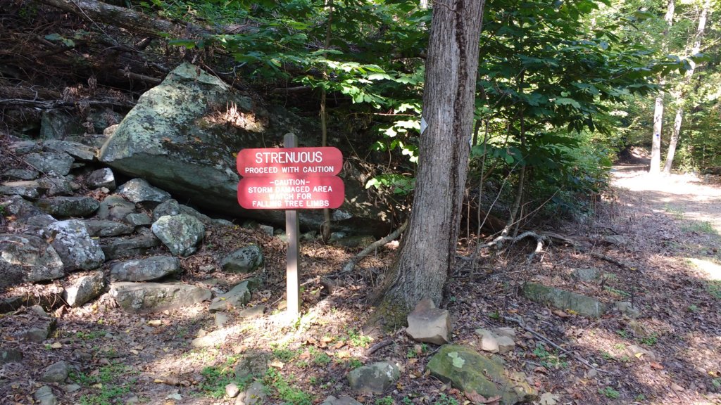 img_20170916_102443217.jpg