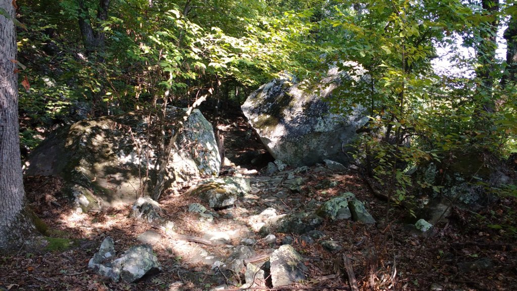 img_20170916_102949648.jpg