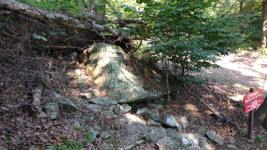 img_20170916_104409797.jpg
