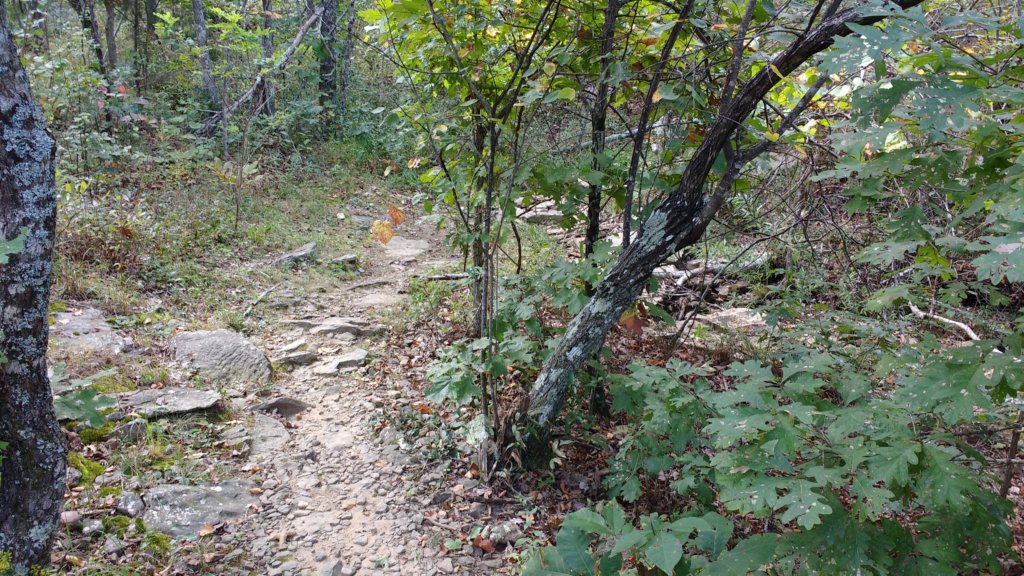 img_20170924_122141079.jpg