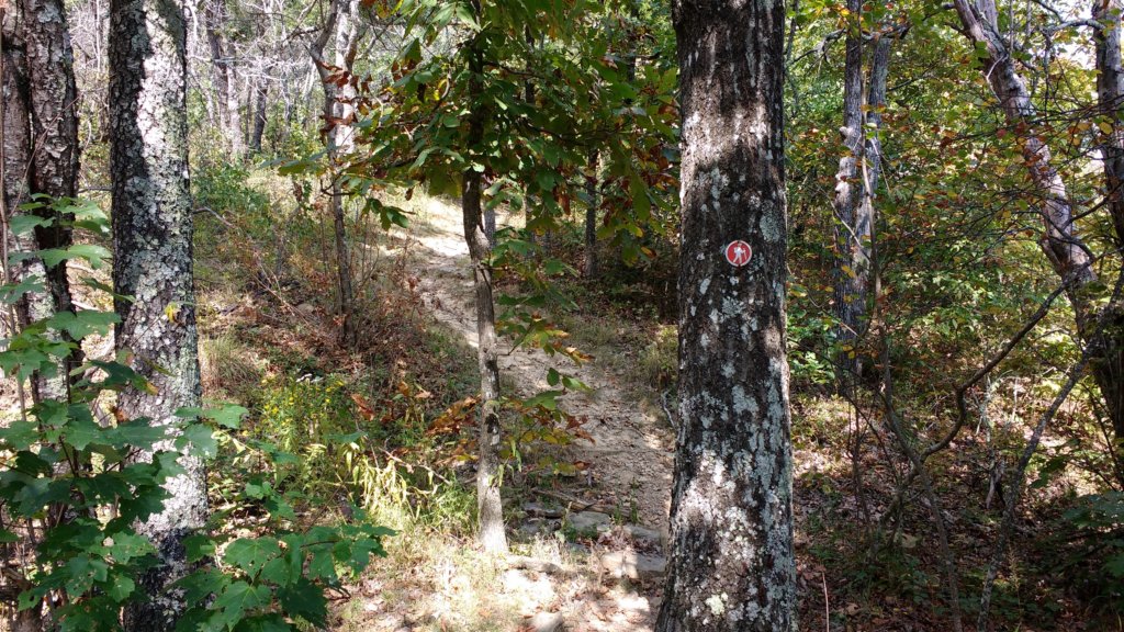 img_20170924_122336929.jpg
