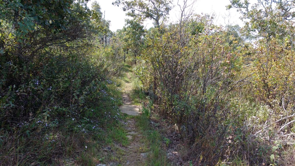 img_20170924_123724383.jpg
