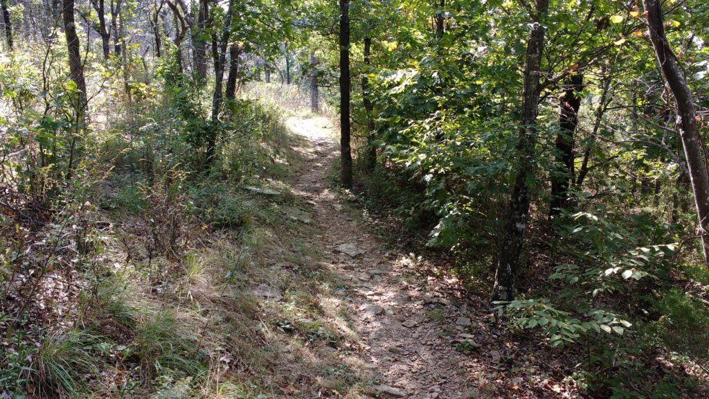 img_20170924_124400931.jpg