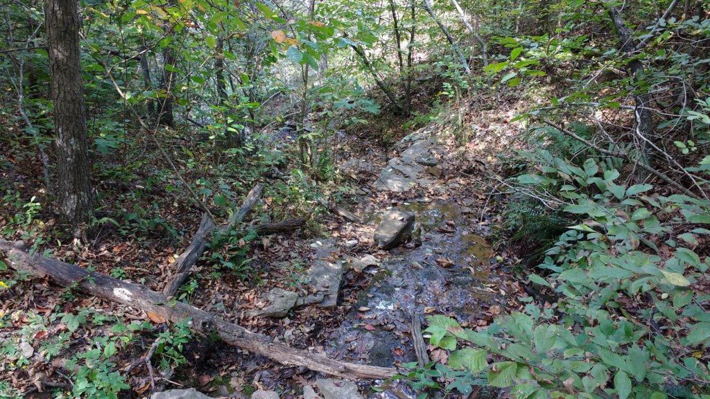 img_20170924_125711773.jpg